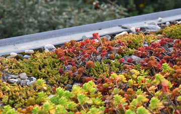 the cost of New Barnet green roof installation
