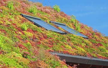 New Barnet living roof systems